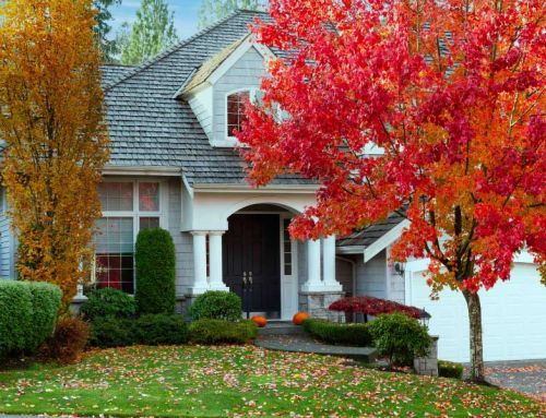 Mortgage Rates Are Over 7% and We Are So Busy